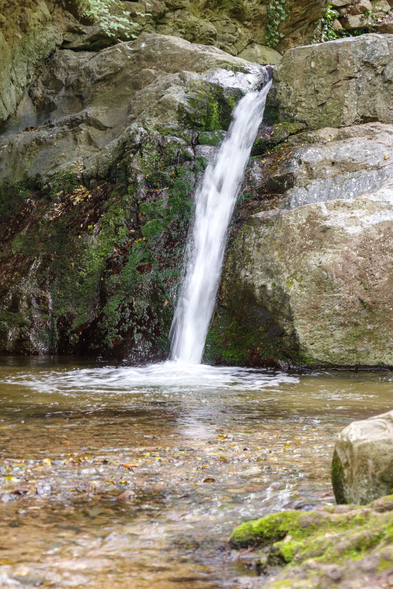 Copia de Agua sedosa 20260503 5836